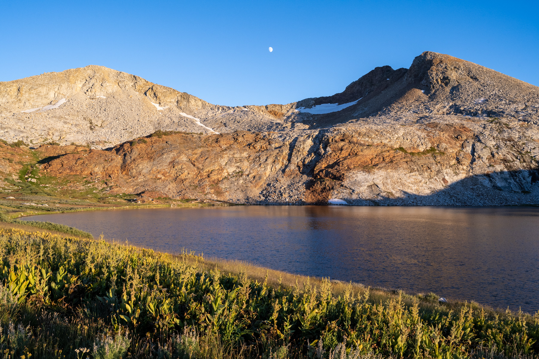 Harriet Lake